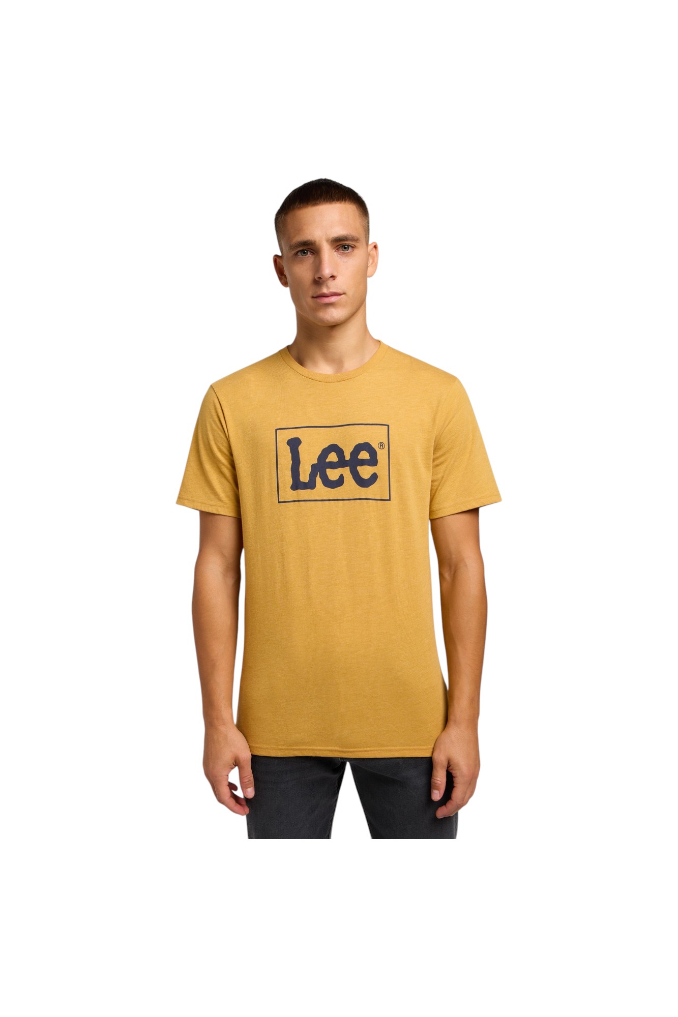 Xm Logo Tee Pale Gold