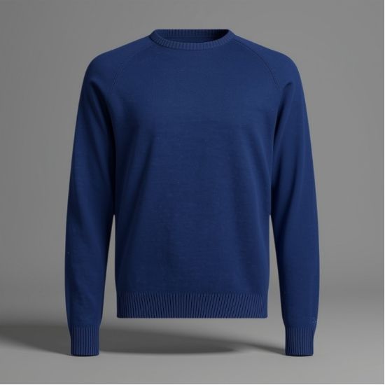 Lee CLEAN RAGLAN SWEATER TRUE NAVY - Image 1